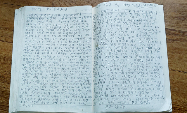 기사사진