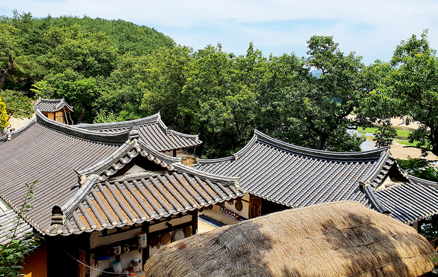 겸암정사.