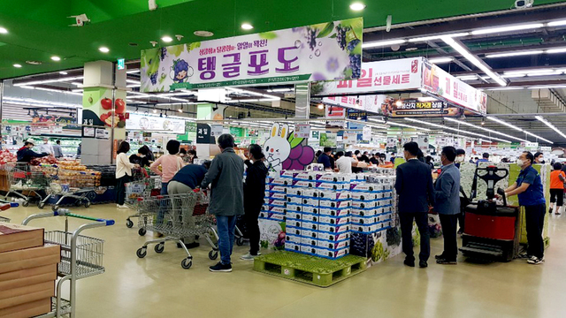 기사사진