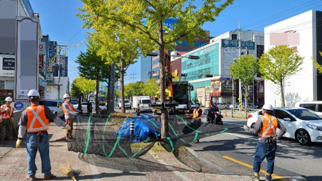 기사사진