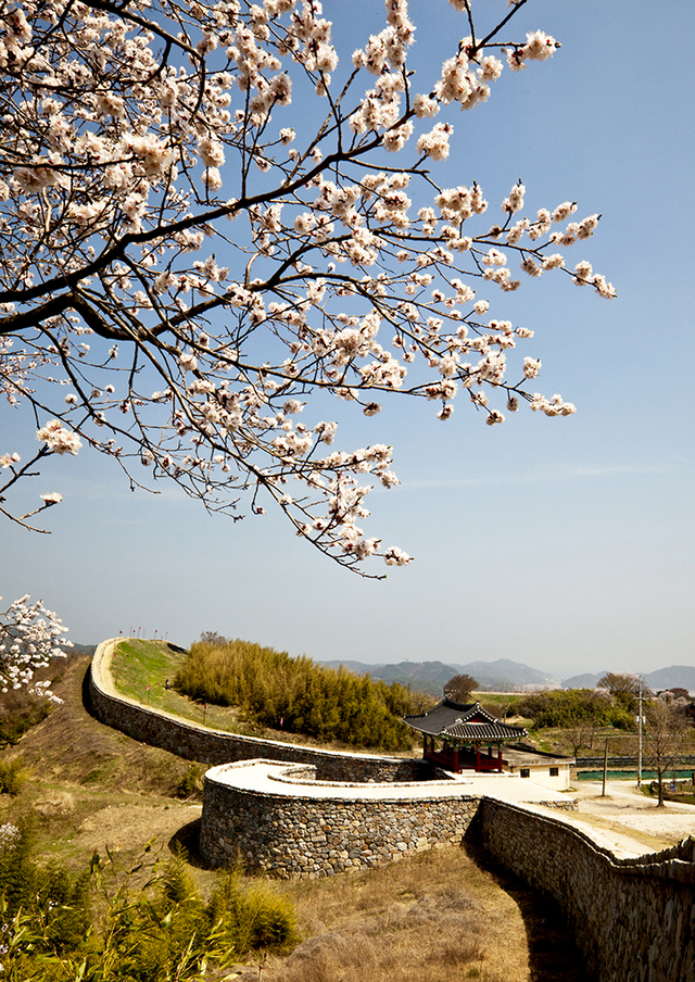 장기읍성