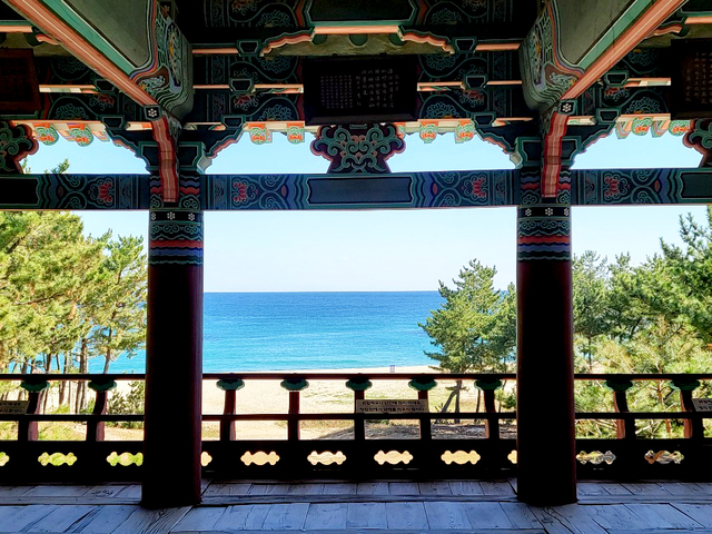 월송정 누에서 바라본 푸르디 푸른 동해바다.