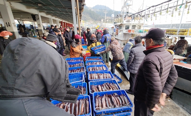 27일 울릉도 저동항 외지 어선이 많은 오징어를 하역하는 등 저동위판장이 활기를 띠고 있다,