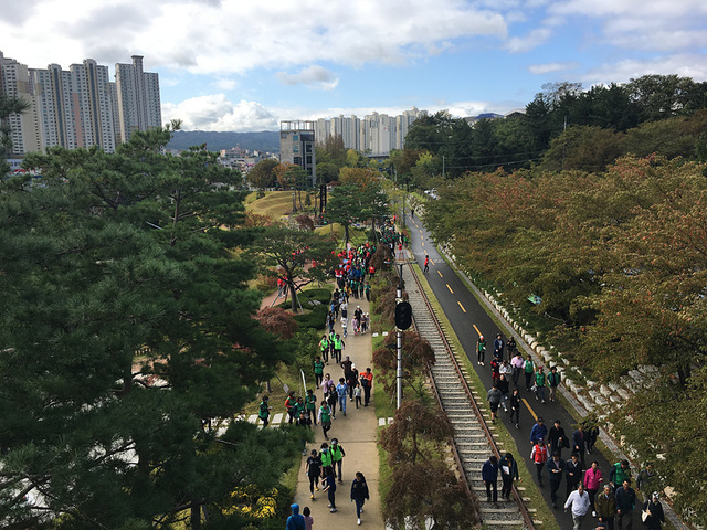 포항 GreenWay 프로젝트 추진으로 조성된 녹색생태도시 포항. /포항시 제공