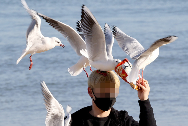 기사사진