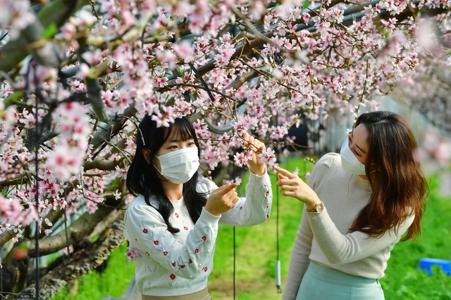 기사사진