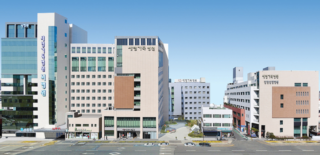 포항 세명기독병원이 ‘병원 속의 병원’이라는 구조로 정형성형병원에 이어 최근 뇌병원을 만들고 심장센터, 소화기센터, 응급의료센터, 건강증진센터를 중심으로 진료시스템을 운영한다.  /세명기독병원 제공