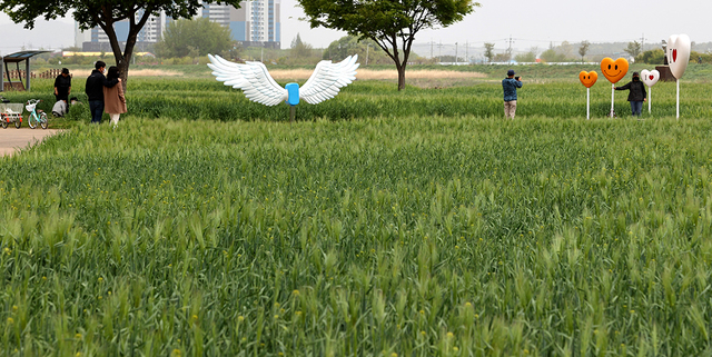 기사사진