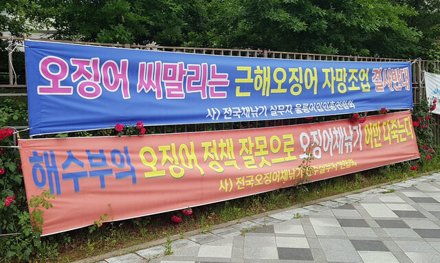 울릉도 어민들은 물론 동해안 어민들이 오징어 자망어업을 반대하며 세종시 해양수산부 청사 앞에 현수막을 걸어놓고 시위흘 하고 있다.