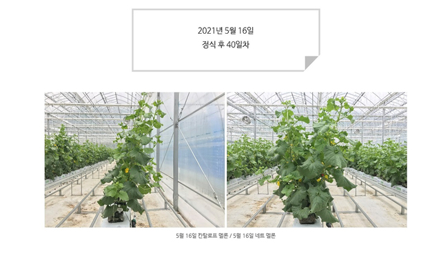 이강우 대표의 아내 황사원 씨가 운영하는 ‘멜론농사이야기’ 블로그의 모습.