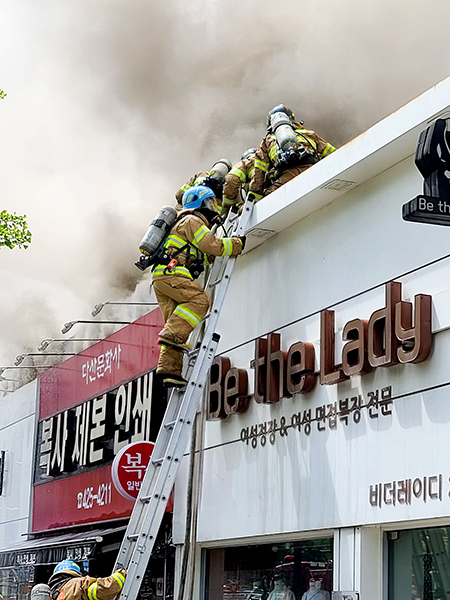 기사사진
