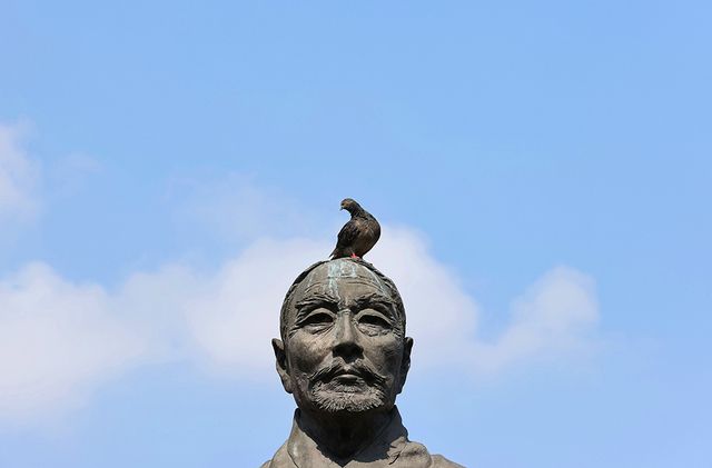 기사사진
