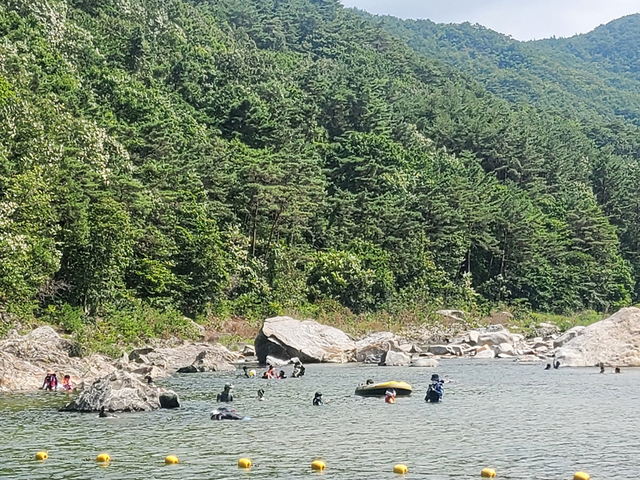 25일 오후 불영계곡에서 물놀이는 즐기는 피서객들.