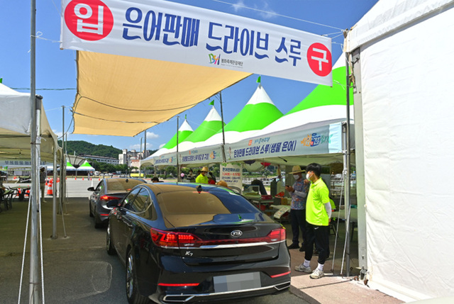 봉화은어축제 드라이브 스루 입구.