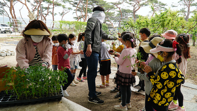 흥해서부초등학교 학생들이 텃밭 가꾸기 체험활동을 진행했다. /흥해서부초등학교 제공
