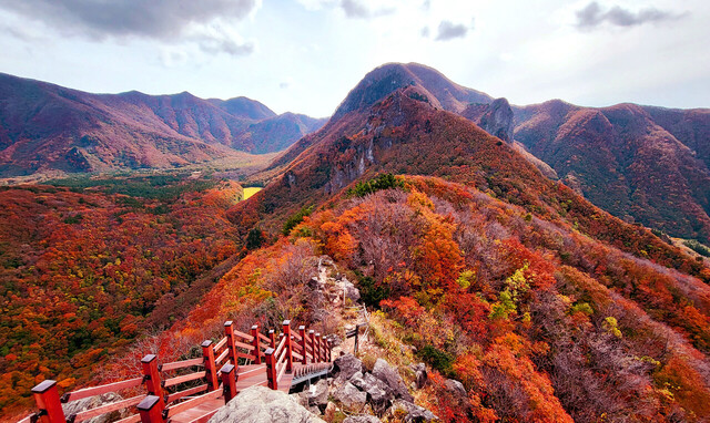 깃대봉에서 성인봉(해발987m)방향의 가을 단풍. 멀리 가운데 뾰족한 봉이 성인봉이다.