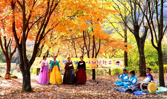 기사사진