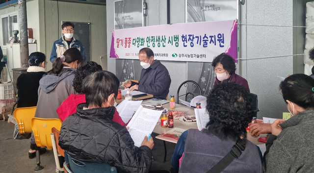 기사사진