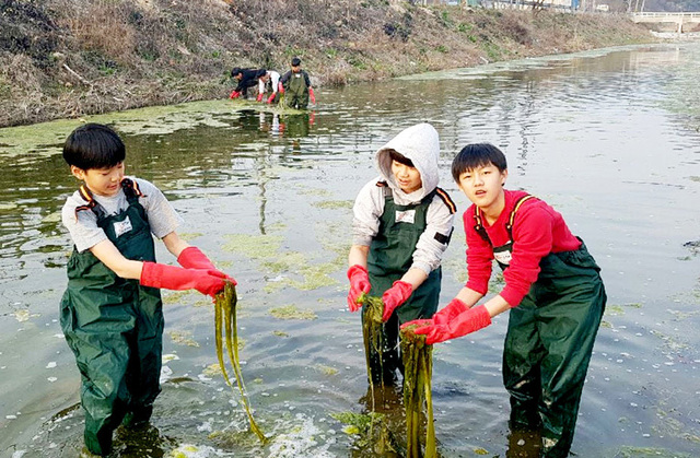 영천 산자연중학교 학생들이 ‘녹색 생태 교육’ 체험 학습 활동에 참여하고 있다.  /산자연중학교 제공