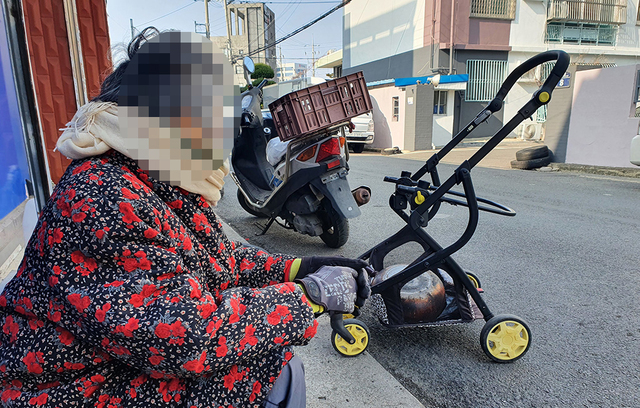 기사사진