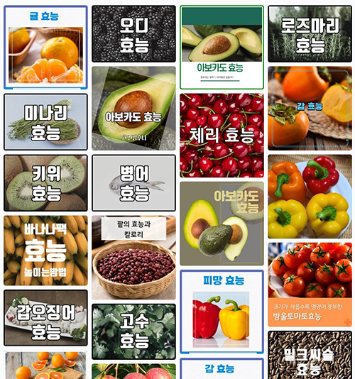 기사사진