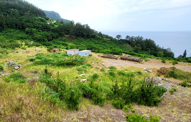 지난 2013년 부지정지 작업을 하다가 중단 풀이 무성한 호텔부지 사진 정면 일주도로 옆 푸른 지역이 도시계획변경 요청지역