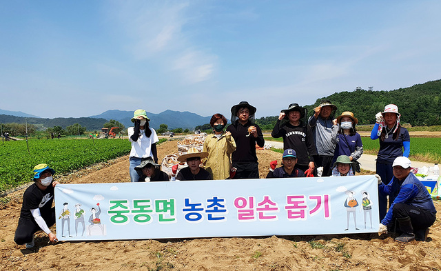 기사사진