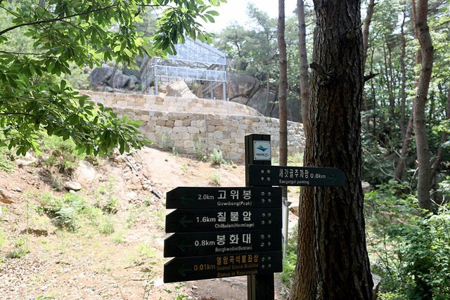 경주 남산엔 쓰러진 마애불 외에도 적지 않은 신라 유적이 존재한다.  /사진 이용선기자