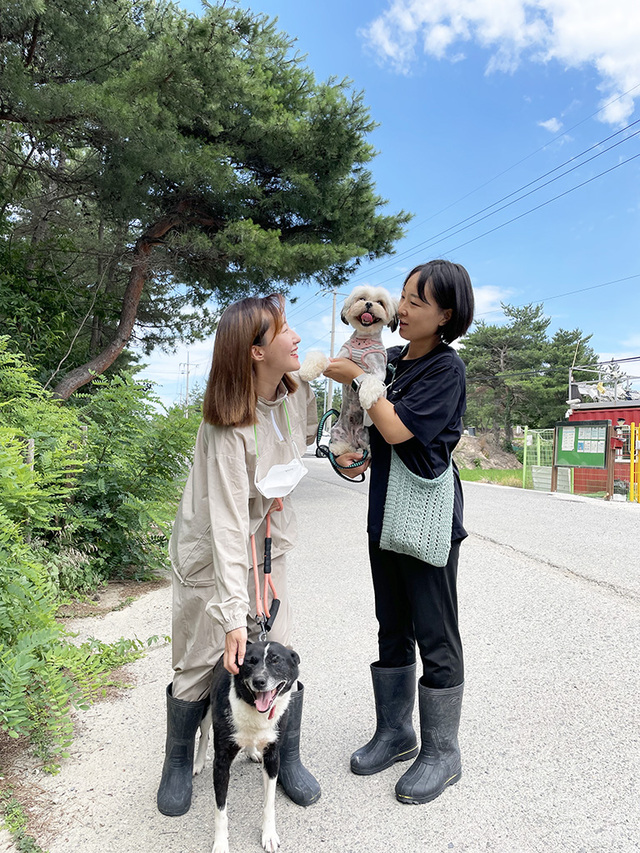 기사사진