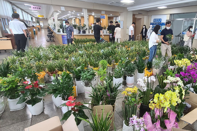 기사사진