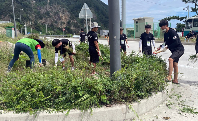 기사사진