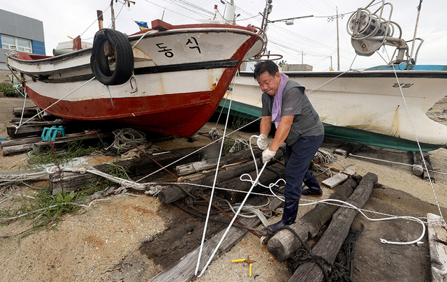 제11호 태풍 힌남노가 포항지역을 관통할 것으로 예상되면서 긴장이 고조되는 가운데 남구 호미곶면 구만리 한 어민이 육지에 올린 어선을 단단히 묶고 있다. /이용선기자 photokid@kbmaeil.com