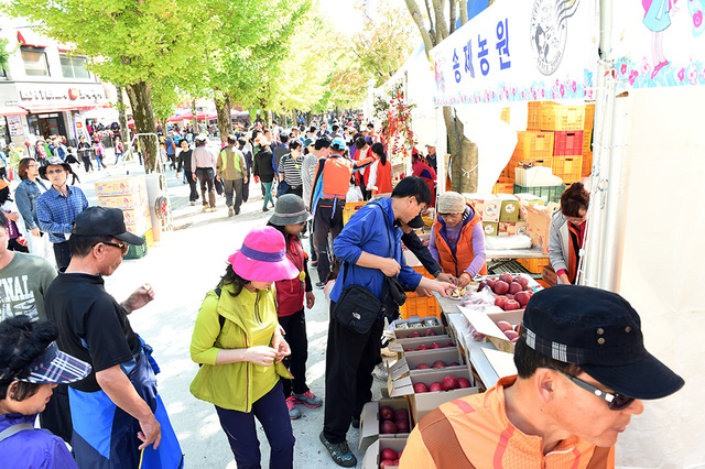 2019년 문경사과축제. /문경시 제공