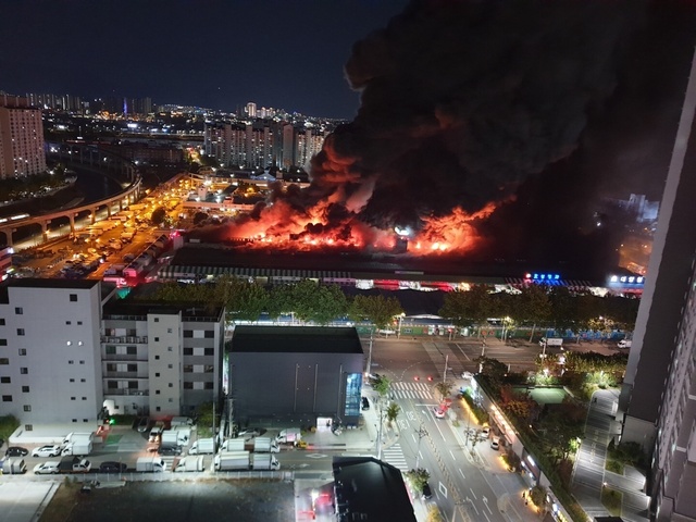 기사사진