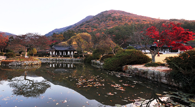 진도 운림산방의 아름다운 가을 풍경.(사진제공 진도군청)