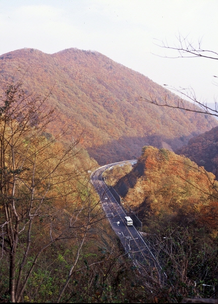 추령재 단풍.