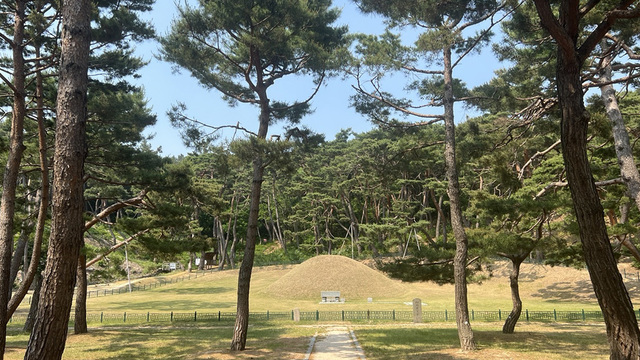 석탈해왕릉.