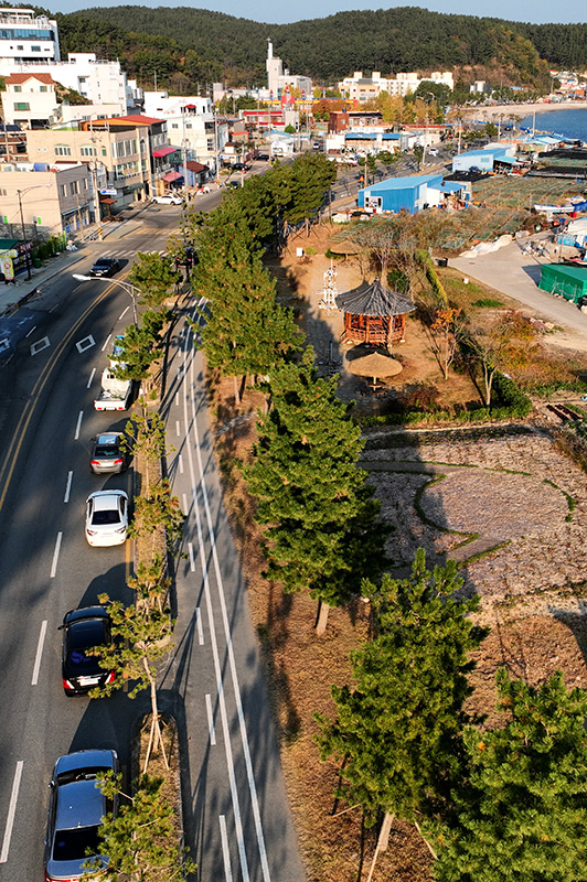 바다를 곁에 두고 걸을 수 있는 포항의 산책길.