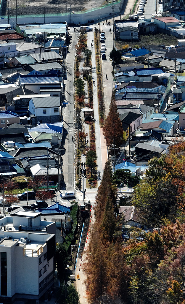 학산동 포항도시숲으로 가는 길에 단풍이 절정을 이뤘다  /이용선기자 photokid@kbmaeil.com