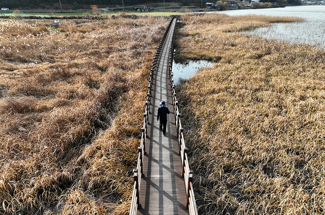 추운 날씨에도 저수지 인근을 걷는 산책자들/이용선기자 photokid@kbmaeil.com