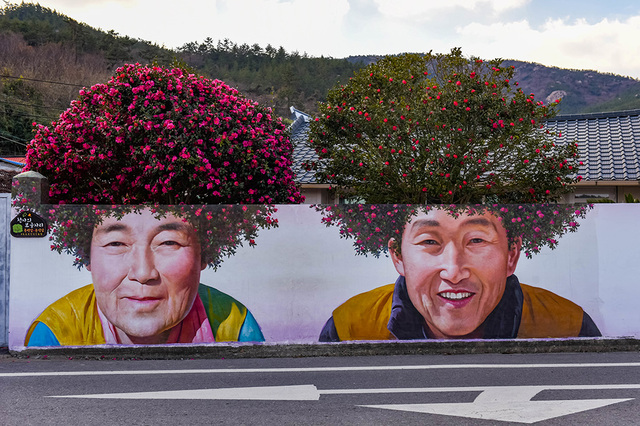 암태도 동백파마버리 벽화.