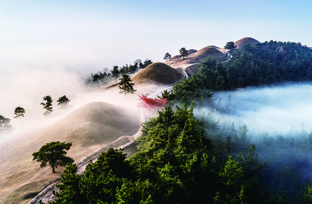고령 주산왕릉 전경.