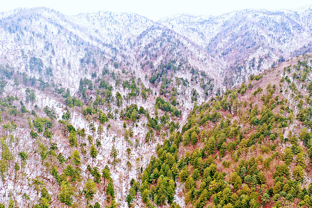 오대산 설산 풍경.