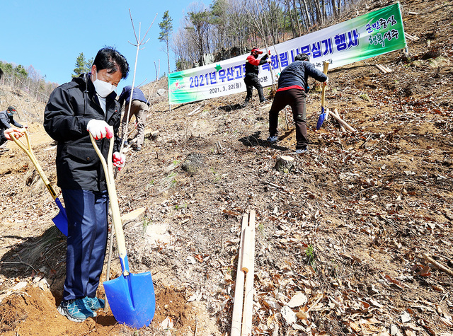 우산고로쇠 식재행사에 참여한 이병환 성주군수.  /성주군 제공