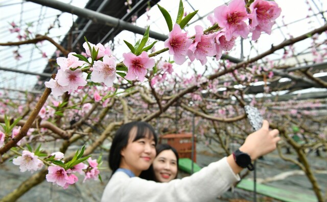 기사사진