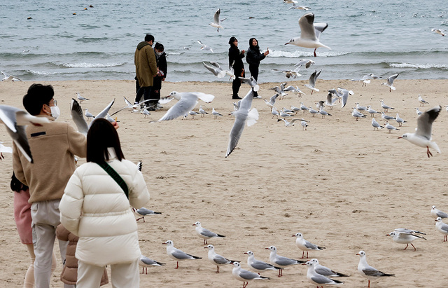 기사사진