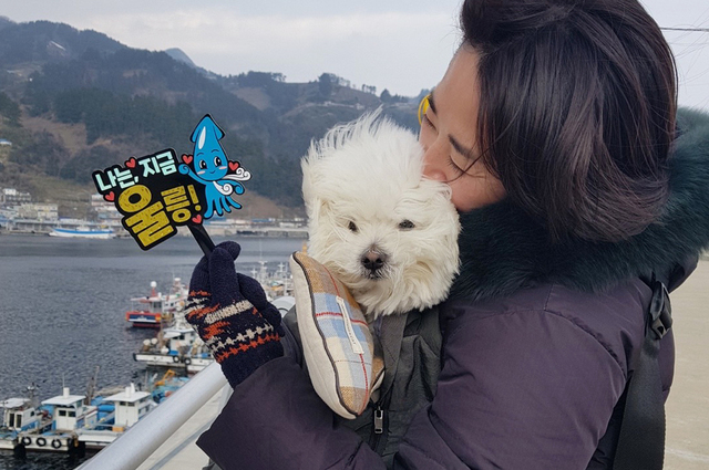 기사사진