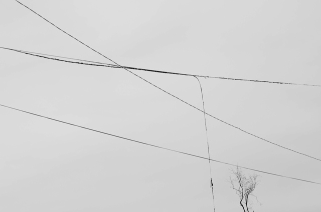 권기철作.