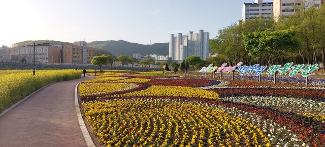기사사진