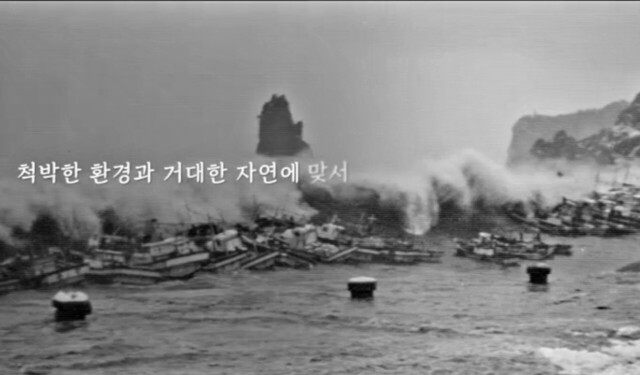 울릉군 대국민 호소문 울릉도독도 지원특별법 제정 동영상 캡쳐